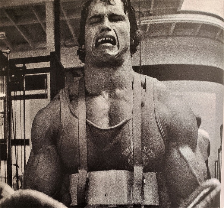 Arnold Schwarzenegger Working out Pumping Iron and Flexing Lots-O Muscle on  Make a GIF