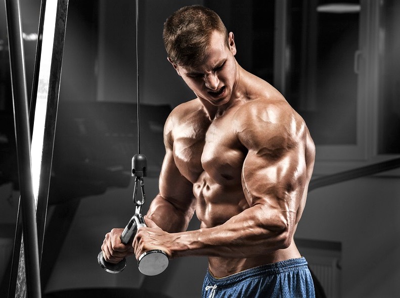 Science Says: Best (and Worst) Triceps Exercises - The Barbell