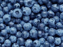 blueberry benefits