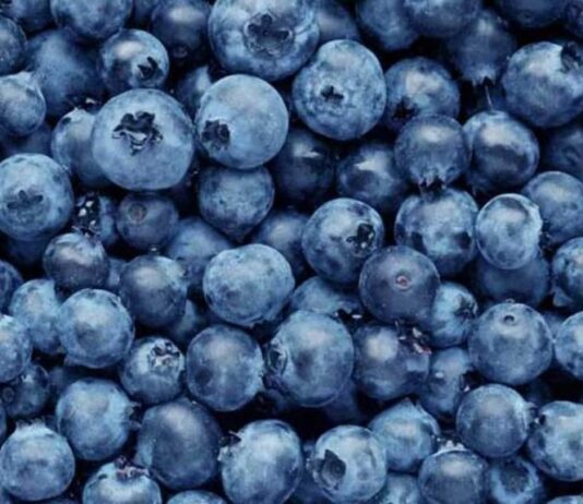 blueberry benefits