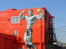 Arnold Schwarzenegger rules for success