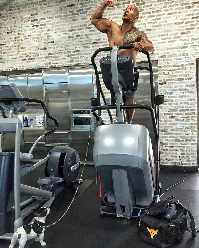 The Rock's gym
