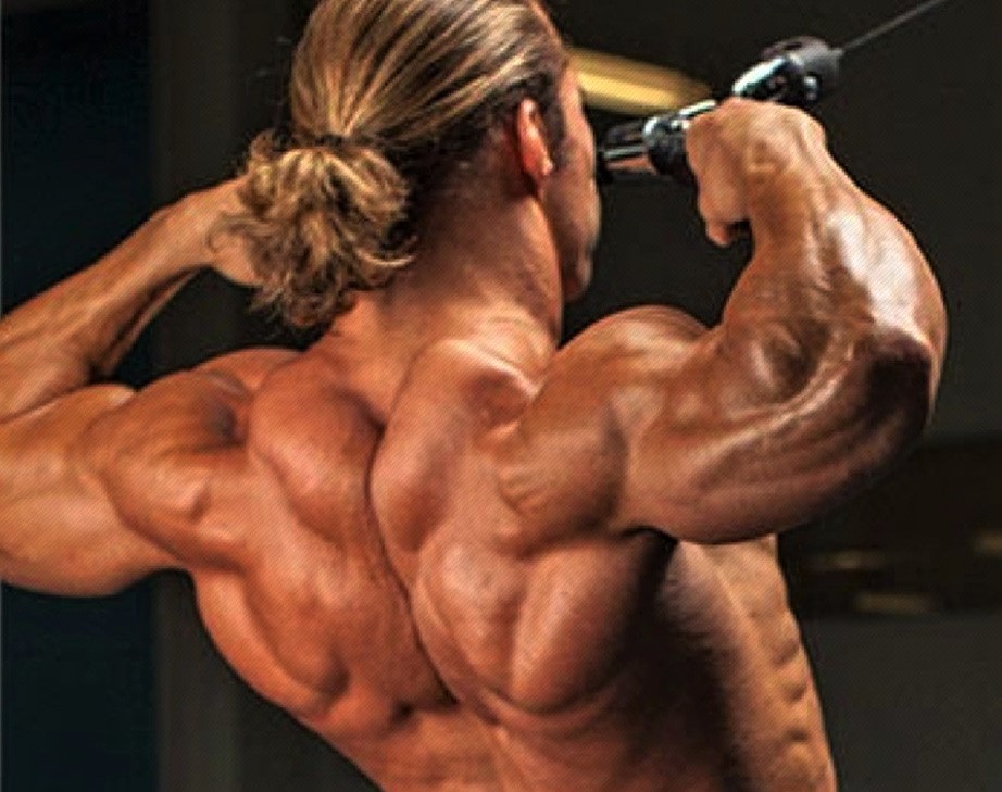 THE BEST 8 EXERCISES FOR A COMPLETE BACK WORKOUT. Get a complete