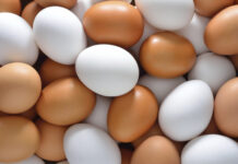 Egg Whites vs. Whole Eggs: Which Is Best for Bodybuilding?