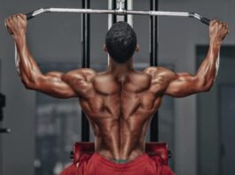 back workout