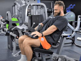 seated leg curl