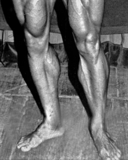 Arnold's calf workout
