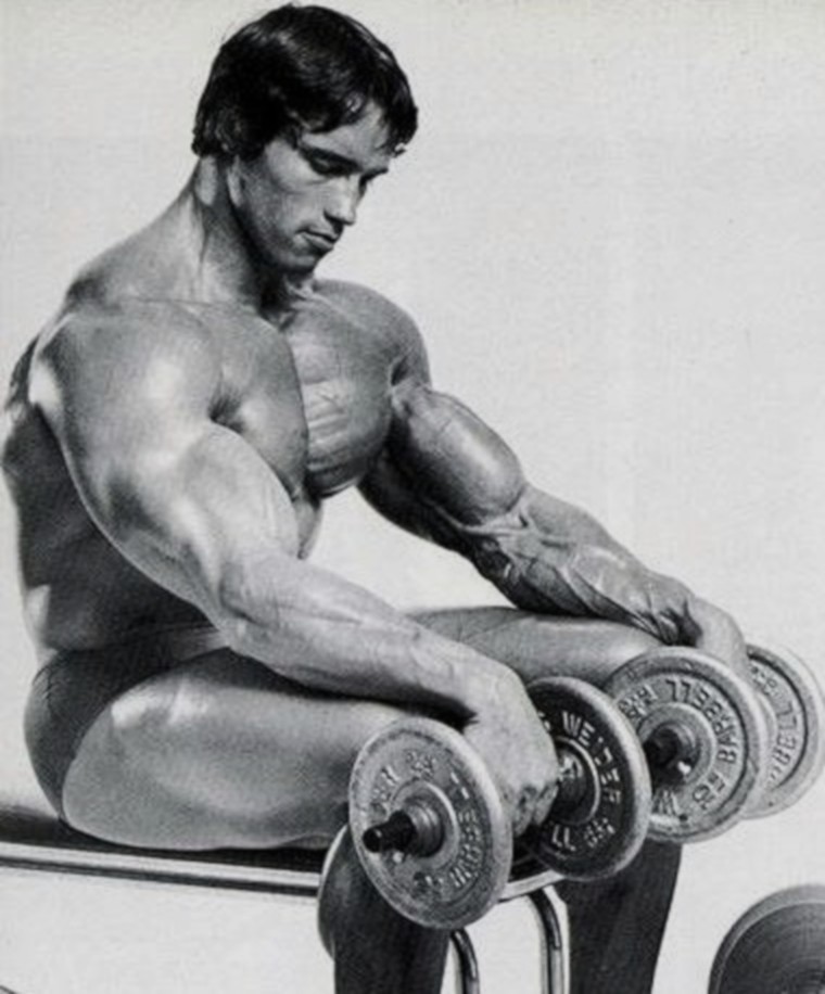 Arnold Schwarzenegger forearms