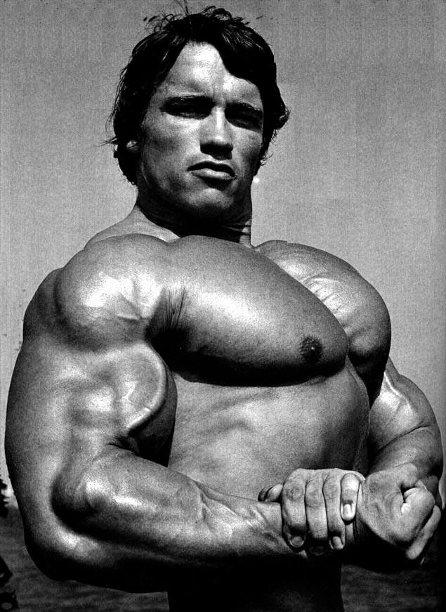 Arnold Schwarzenegger body now