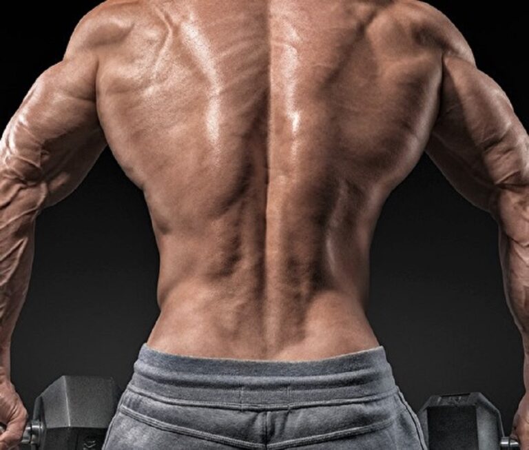 Best Lower Back Workouts - The Barbell