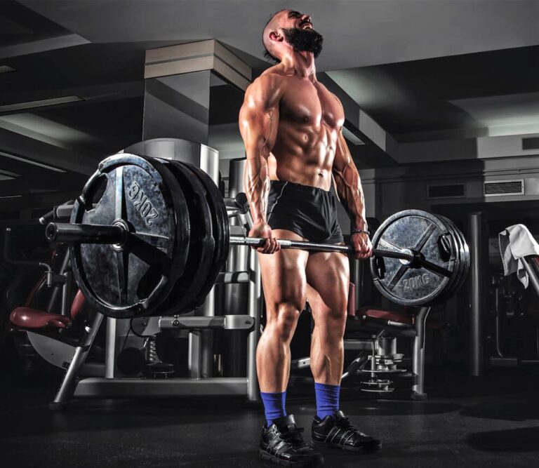 Power-Bodybuilding: Your Complete Training Guide - The Barbell