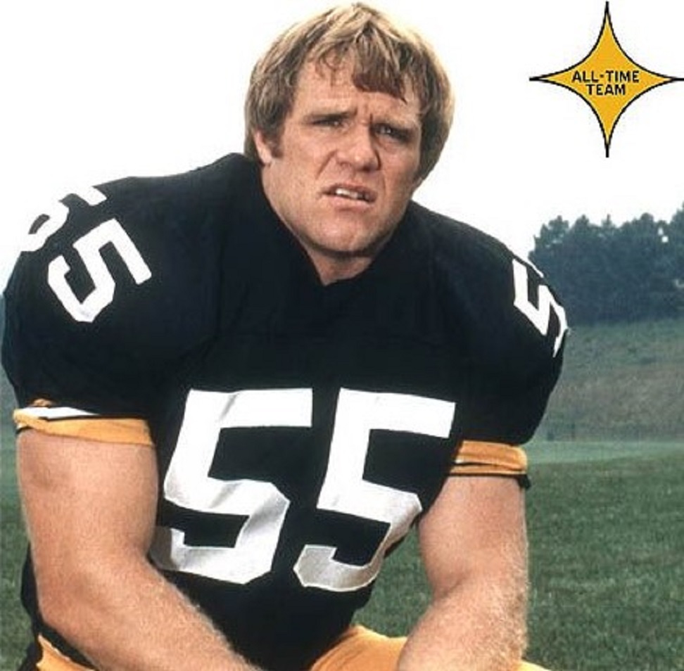 terry long pittsburgh steelers