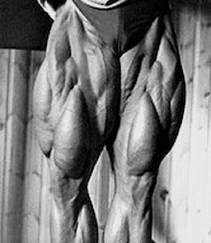 tom platz workout