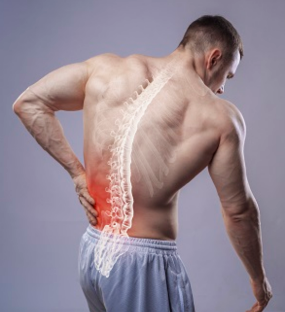 lower back injuries