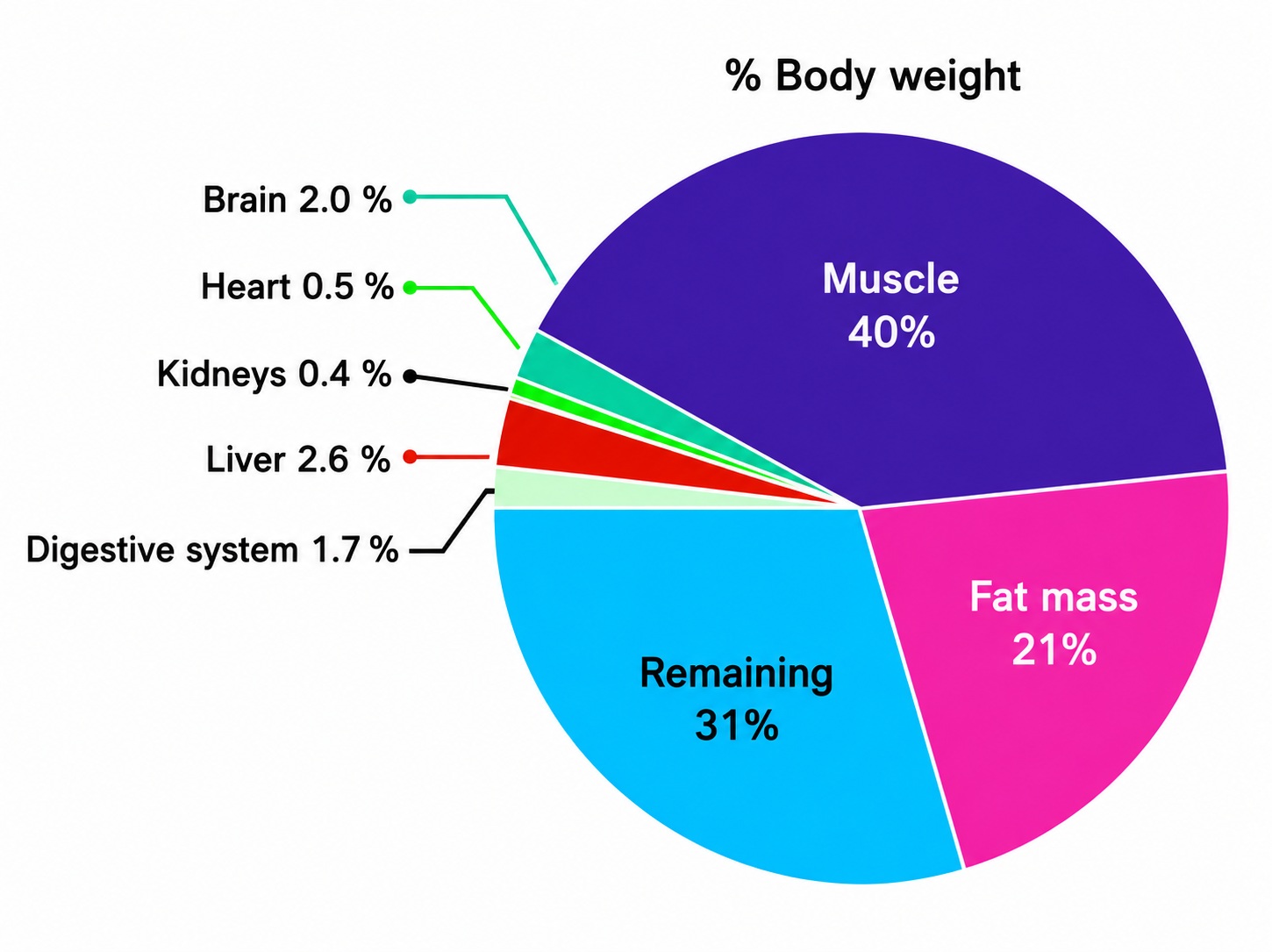 bodyweight percentages