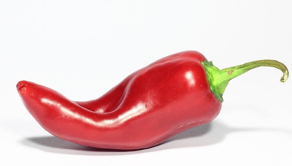chili peppers burn fat