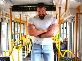 dutch giant