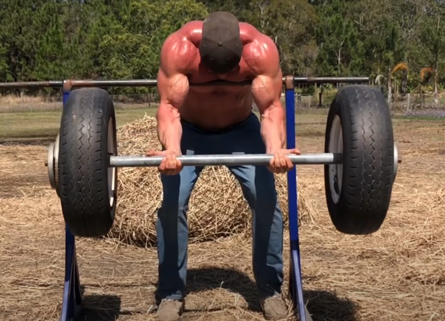 Tom Haviland: Everything You Need To Know - The Barbell