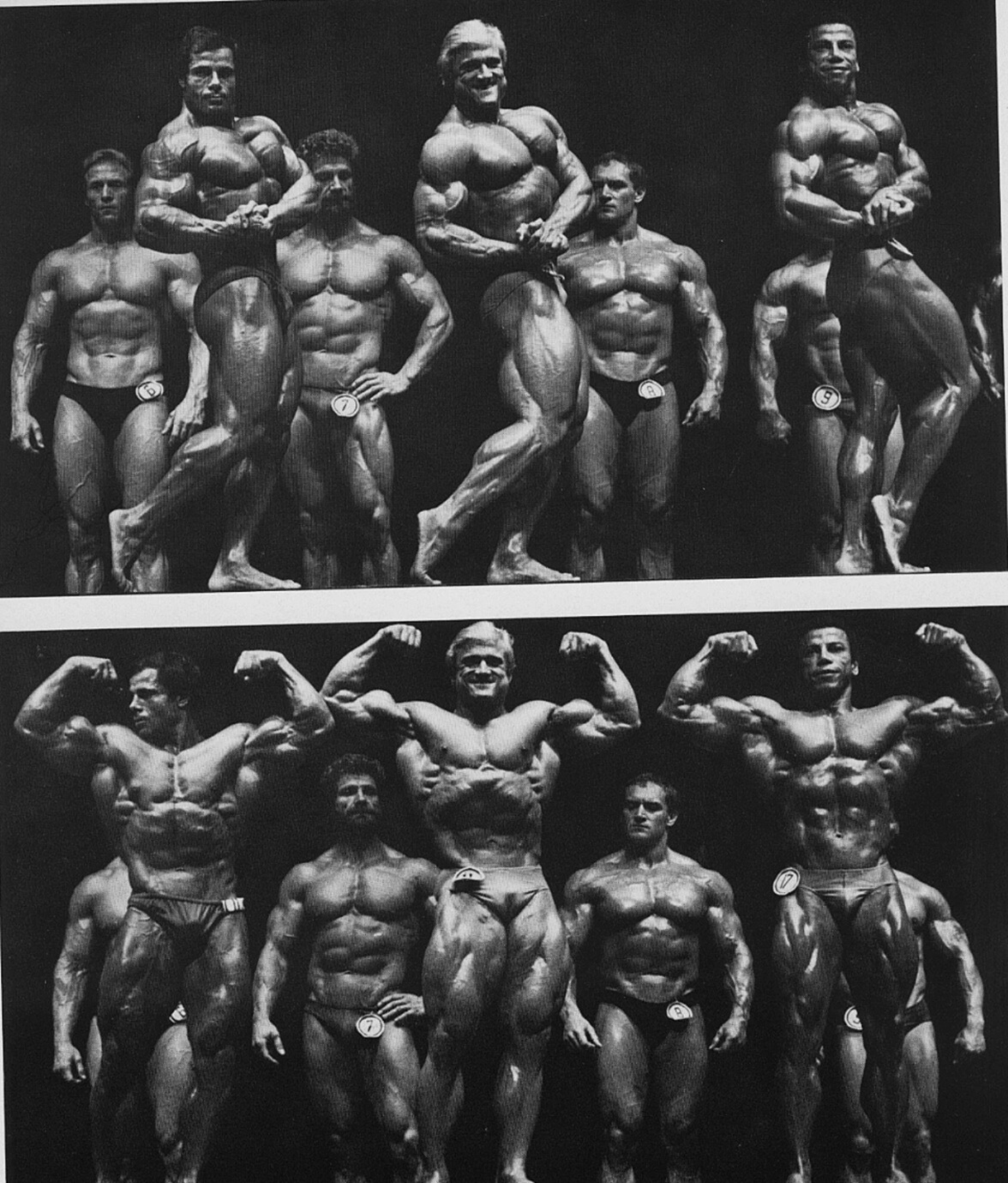 mr olympia 1981 top three