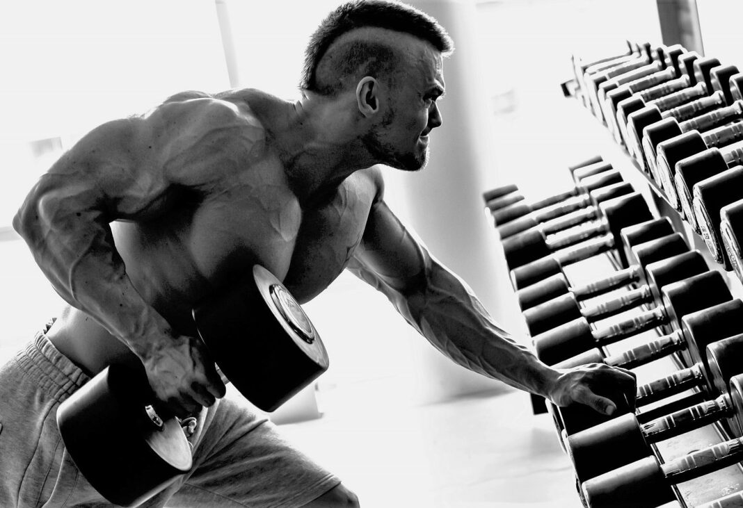 muscle confusion muscle confusion training